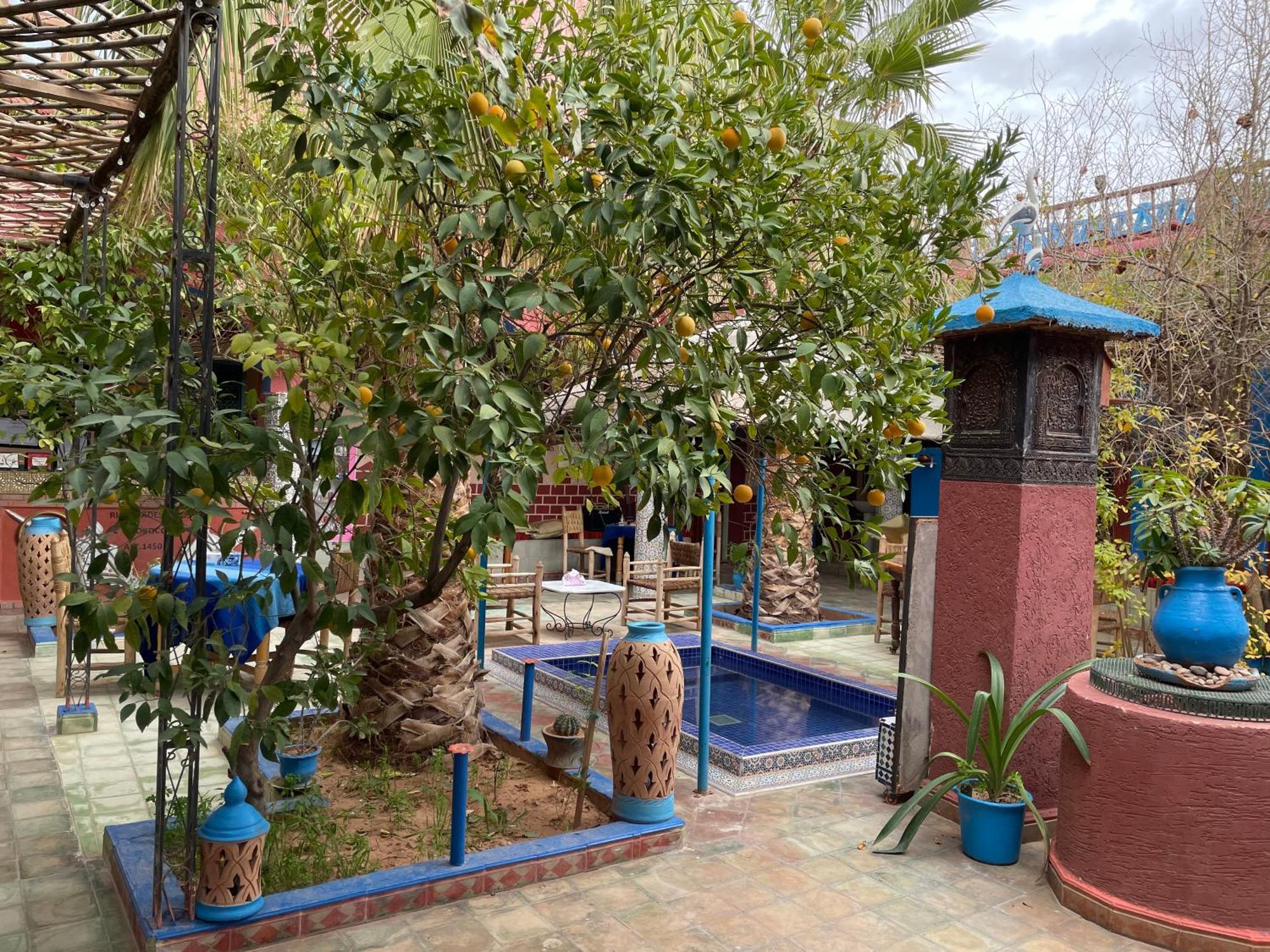 Riad Dades Birds Boumalne 외부 사진